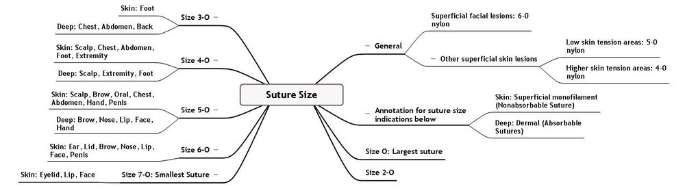 Suture size.jpeg