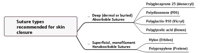 Suture types.jpeg